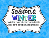 Winter 3-Part Montessori / Vocabulary Cards