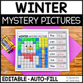 Winter Activities - Editable Sight Word Mystery Pictures