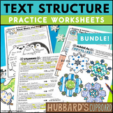 Winter Activities  - Identify Text Structure Worksheets w/