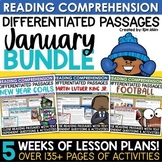 New Year 2024 Winter Reading Comprehension Passages Januar