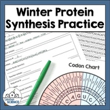 DNA Activity for Winter - Protein Synthesis Holiday Activity