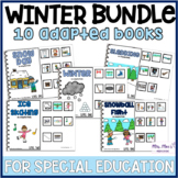 Winter Adapted Book Bundle