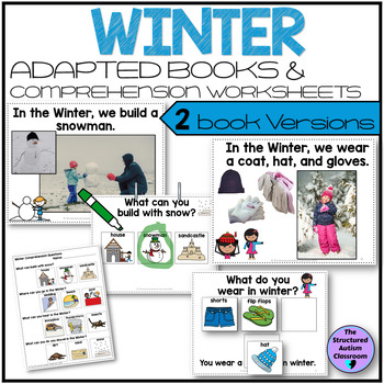 Preview of Winter Adapted Books and Worksheets with Core Words for Special Education