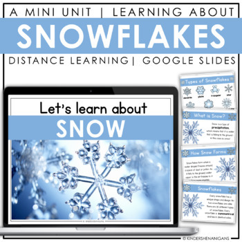 Preview of Winter | All About Snow | Google Slides