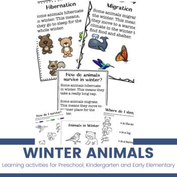 Preview of Winter Animal Activities for Preschoolers & Kindergarten