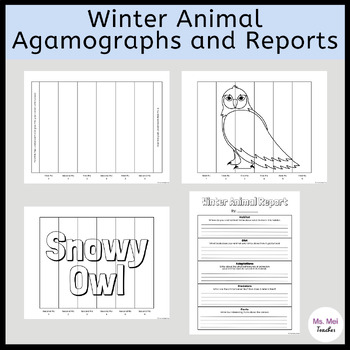 Preview of Winter Animal Agamographs & Reports - Non-Fiction Research - January Activities