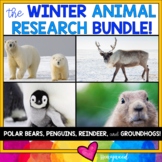 Winter Animal Research Bundle : Reindeer, Polar Bears, Pen