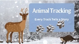 Winter Animal Tracking