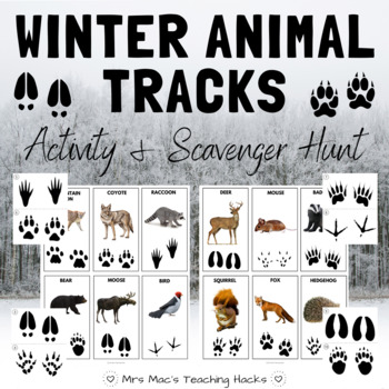 Curious Nature: Animal tracks tell a story