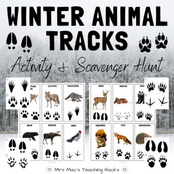 Preview of Winter Animal Tracks Activity & Scavenger Hunt