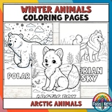 Winter Animals Coloring Pages | Educational Arctic Wildlif