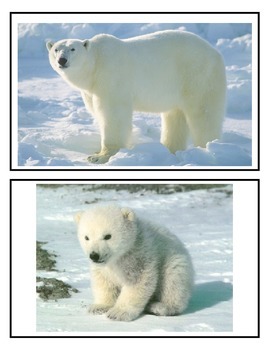 Preview of Winter Animals Mommy and Baby Match Up Cards