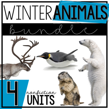 Preview of Winter Animals Nonfiction Units | Reindeer, Polar Bears, Penguins, Groundhogs