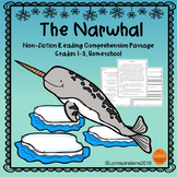 Winter Animals - The Narwhal Reading Comprehension Passage