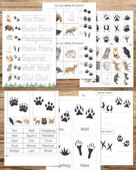 Preview of Winter Animals Tracks Learning Worksheets | Winter activities for Kindergarden