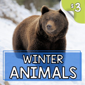 Preview of Winter Animals Who Hibernate or Migrate - Hibernation Migration
