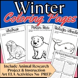 Arctic Animal Writing, Coloring Pages, and Animal Research