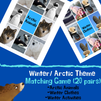 Preview of Winter/ Arctic Matching Game