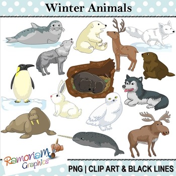 arctic animals clip art by ramonam graphics teachers pay