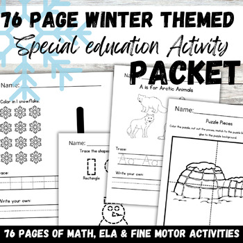 Preview of Winter Autism and DCD Special Education Math Reading and Fine Motor Packet