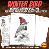 Winter Bird Drawing Worksheets, Art Sub Plan, Middle or Hi