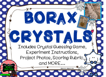 Preview of Winter Borax Crystal Project and Guessing Game