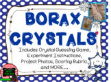 Winter Borax Crystal Project and Guessing Game