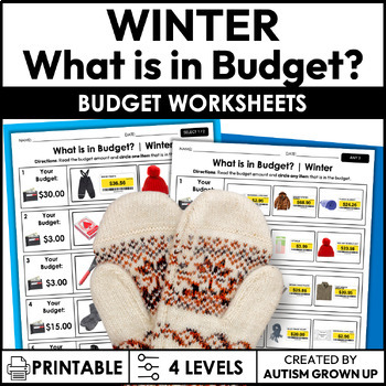 Preview of Winter Budget | Life Skills Worksheets for Special Education