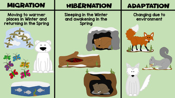 Winter Bundle PowerPoints (Animals in Winter and Winter Weather Seasons)