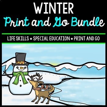 Preview of Winter Bundle - Special Education - Life Skills - Print & Go - Math - ELA