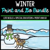 Winter Bundle - Special Education - Life Skills - Print & 