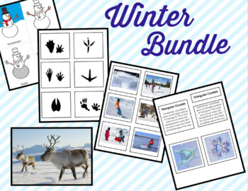 Preview of Winter Bundle • Three Part Cards • Flash Cards • Montessori • Arctic • Animals •