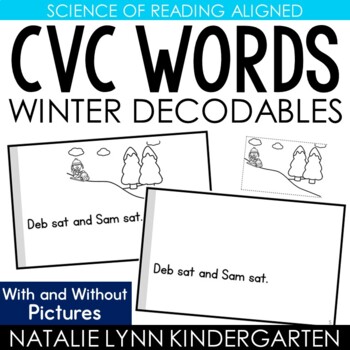 Preview of Winter CVC Word Decodable Readers Science of Reading Seasonal + Thematic