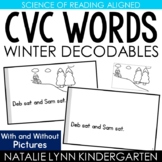 Winter CVC Word Decodable Readers Science of Reading Seaso