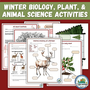 Preview of Winter Biology, Plant, Animal, Environmental Science Activity BUNDLE!