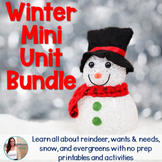 Winter / Christmas Non-Fiction Mini Unit Bundle