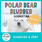 Winter & Christmas STEM / STEAM Activity - Polar Bear Blub