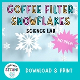 Winter & Christmas STEM / STEAM Activity - Snowflake Solub
