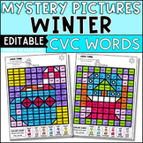 Winter Color by Code CVC Words Mystery Pictures Editable W