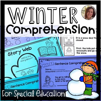 Preview of Winter Comprehension for Special Ed | Special Education and Autism Resource