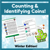 Winter Counting & Identifying Coins Worksheets & Activities