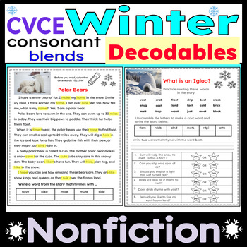 Preview of Decodable Nonfiction Passages with Reading Comprehension Questions Winter