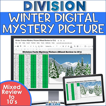 Preview of Winter Digital Mystery Picture for Division Facts to 10 | January Math Facts