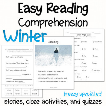 Preview of Winter - Easy Reading Comprehension for Special Education