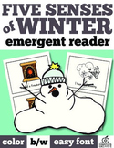 Winter Emergent Reader: Five Senses of Winter