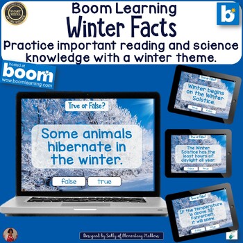 Preview of Winter Facts True or False Boom Learning Digital Task Cards