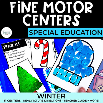 Preview of Winter Fine Motor Centers | 11 Skills | Special Education