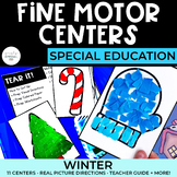 Winter Fine Motor Centers | 11 Skills | Special Education