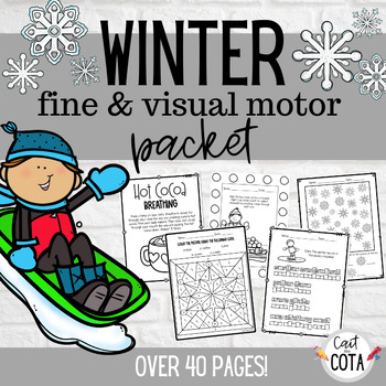 Preview of Winter Fine & Visual Motor Packet