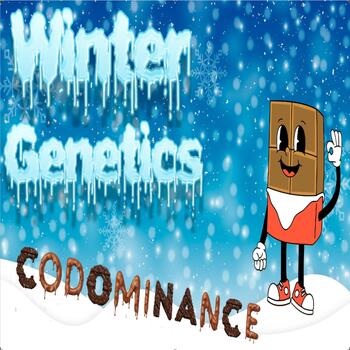 Preview of Winter Genetics, Heredity, Traits, and Inheritance Punnett Square CODOMINANCE
